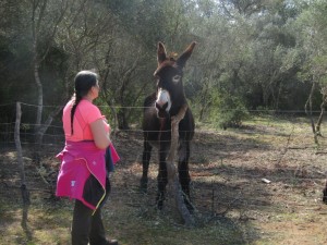 IMG_4883 (Medium)